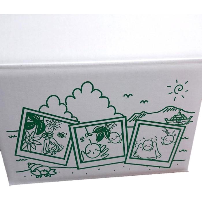 鹿児島県瀬戸内町の画像3