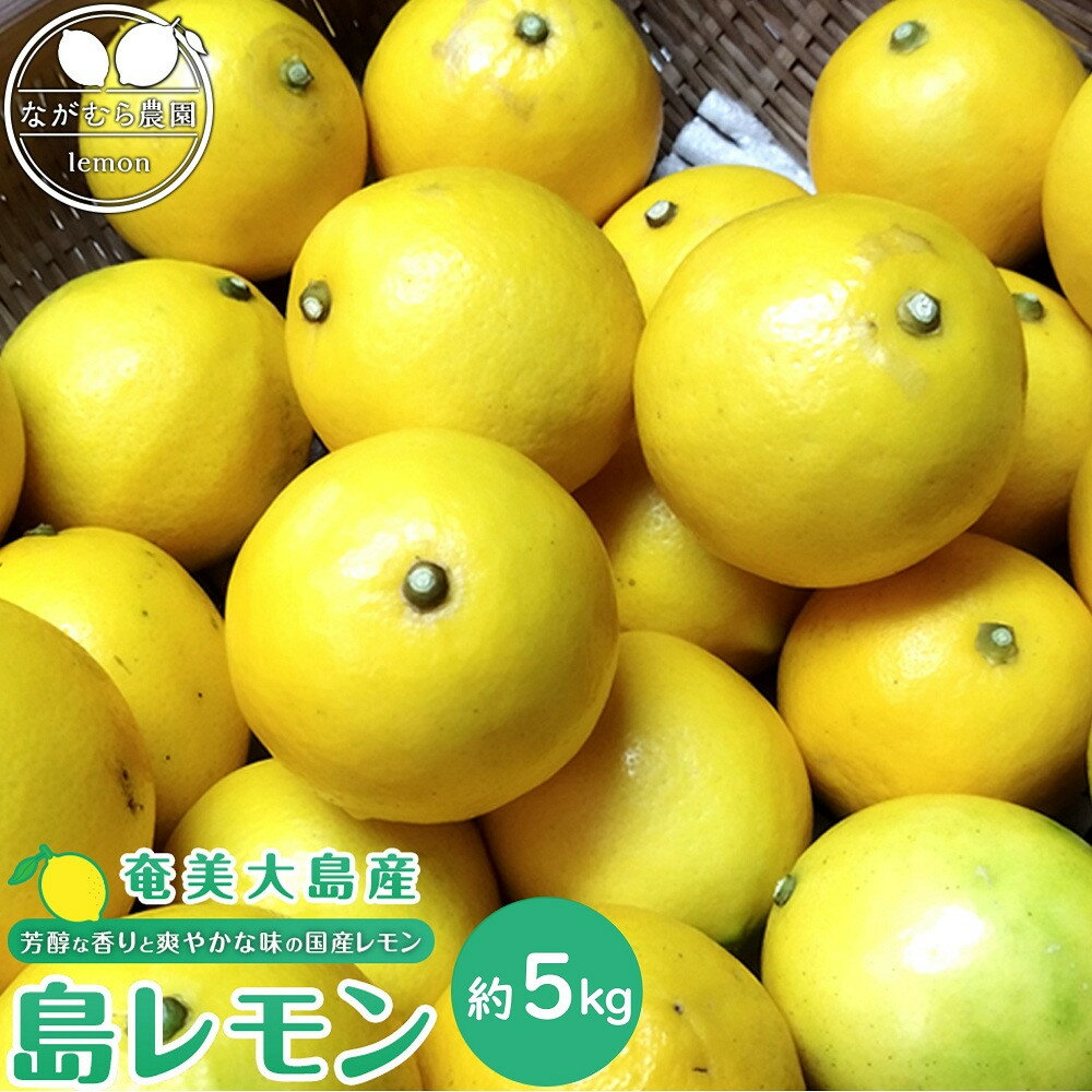 【ふるさと納税】奄美大島産 島れもん 5kg＜芳醇な香りと爽やかな味の国産レモン＞