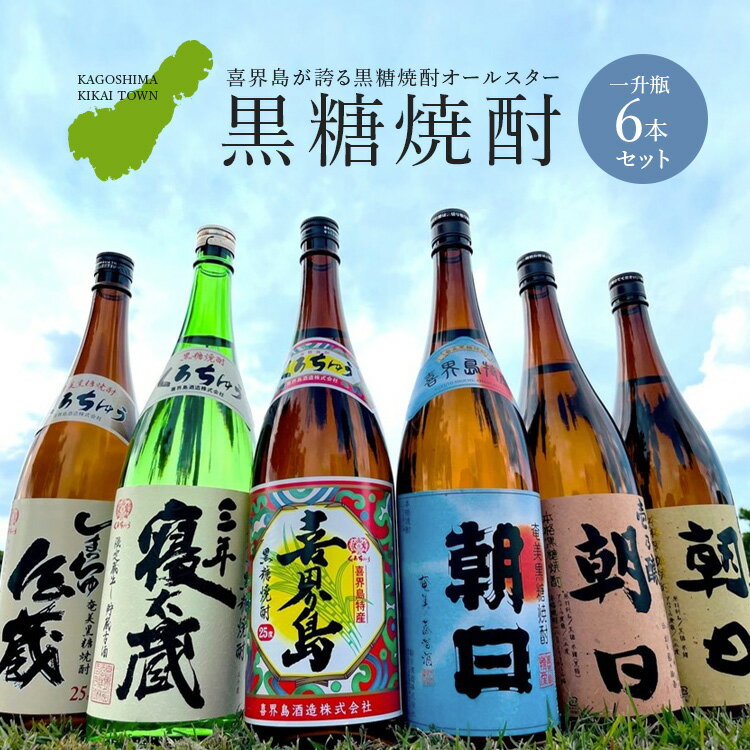 【ふるさと納税】【喜界島】黒糖焼酎オールスター☆一升瓶6本セット