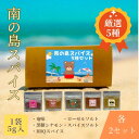 【ふるさと納税】南の島スパイス5種×2セット