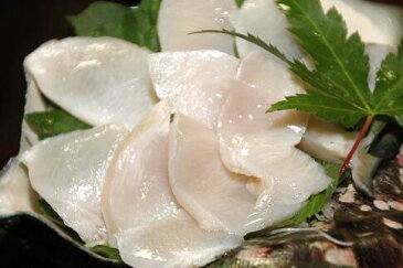 【ふるさと納税】夜光貝の刺身　1Kg(500g×2パック)瞬間真空冷凍