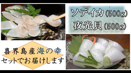 【ふるさと納税】真空冷凍 夜光貝の刺身500g・冷凍ソデイカ500gセット