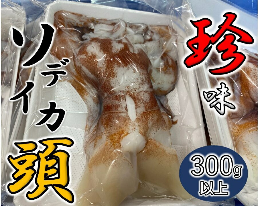 【ふるさと納税】珍味★ソデイカの頭　300g～【真空冷凍】