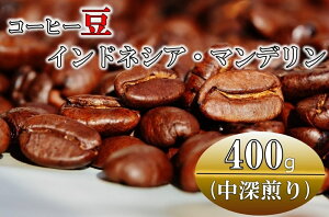 【ふるさと納税】コーヒー豆(中深煎り)インドネシア・マンデリン 400g