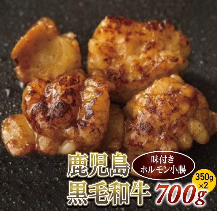 【ふるさと納税】味付きホルモン小腸700g(350g×2) 鹿児島黒毛和牛【尾崎牧場】