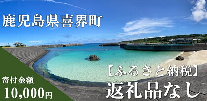 【返礼品なしの応援寄附】鹿児島県 喜界町【10,000円】