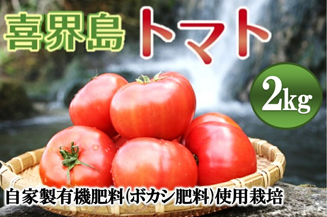 楽天鹿児島県喜界町【ふるさと納税】【2025年1月から発送】『喜界島トマト』自家製有機肥料（ボカシ肥料）使用栽培　2kg【日付指定不可】