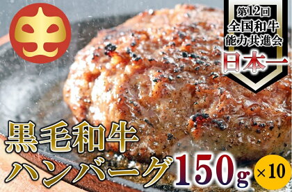 鹿児島県産『鹿児島黒牛A5ランク』　極めたハンバーグ10個【うしの中山】（日付指定不可）