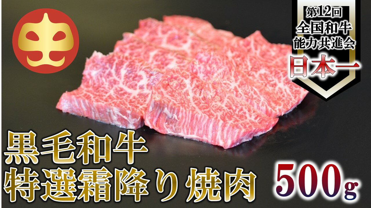 [うしの中山] 霜降り 焼肉 用 500g[日付指定不可]