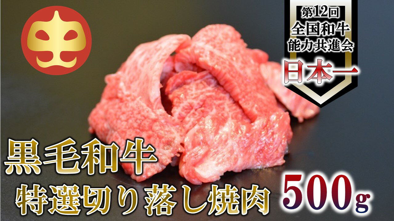 [うしの中山] 切り落とし 焼肉 用 500g[日付指定不可]