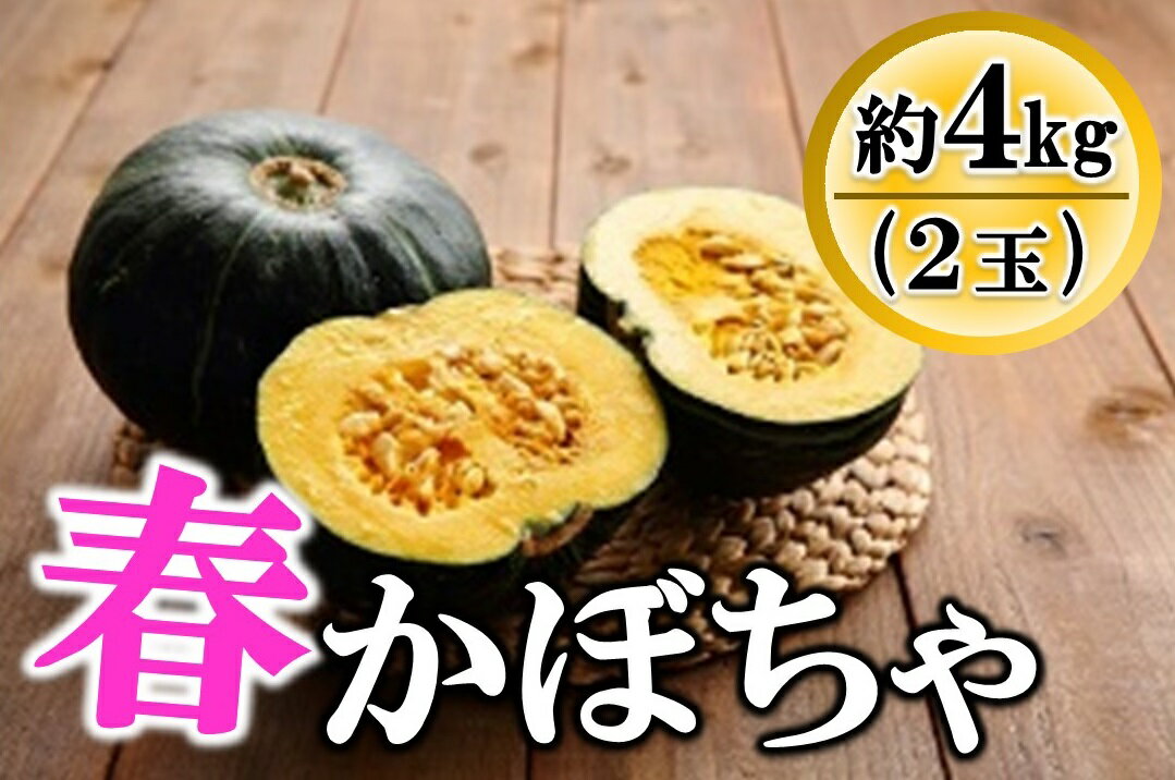 【ふるさと納税】先行受付『2025年5月発送』喜界町産「春かぼちゃ」2玉(約4kg)