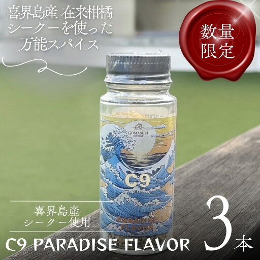 【ふるさと納税】C9 PARADISE FLAVOR【万能スパイス】(35g×3本) 【ふるさと納税】C9 PARADISE FLAVOR【万能スパイス】(35g×3本)