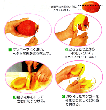 【ふるさと納税】【訳あり】無加温栽培『完熟マンゴー』2〜3玉(1kg以上)2026年7月下旬から8月上旬発送