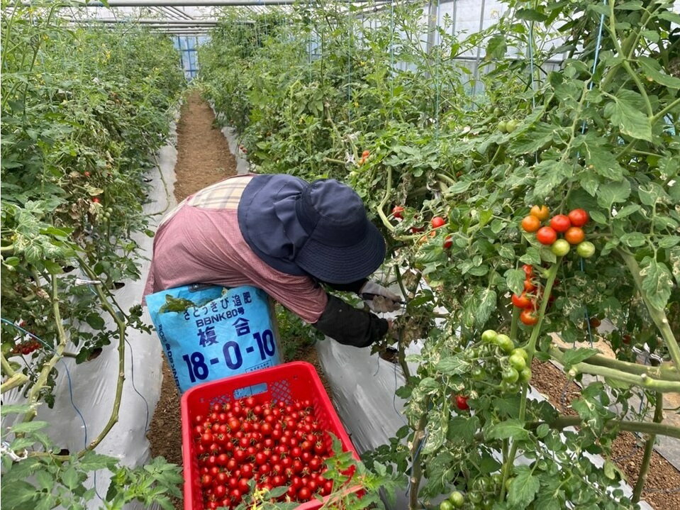 鹿児島県喜界町の画像3