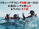 【ふるさと納税】喜界島で スキューバダイビング体験(40~50分)★道具レンタル料込み★ライセンス不要★