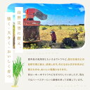鹿児島県喜界町の画像3