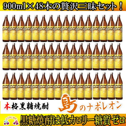 奄美本格黒糖焼酎　島のナポレオン　48本セット