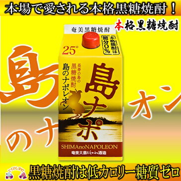 【ふるさと納税】奄美本格黒糖焼酎　島のナポレオンパック　48本セット