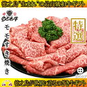 【ふるさと納税】徳之島が世界に誇る最高級和牛“のざき牛”特選...