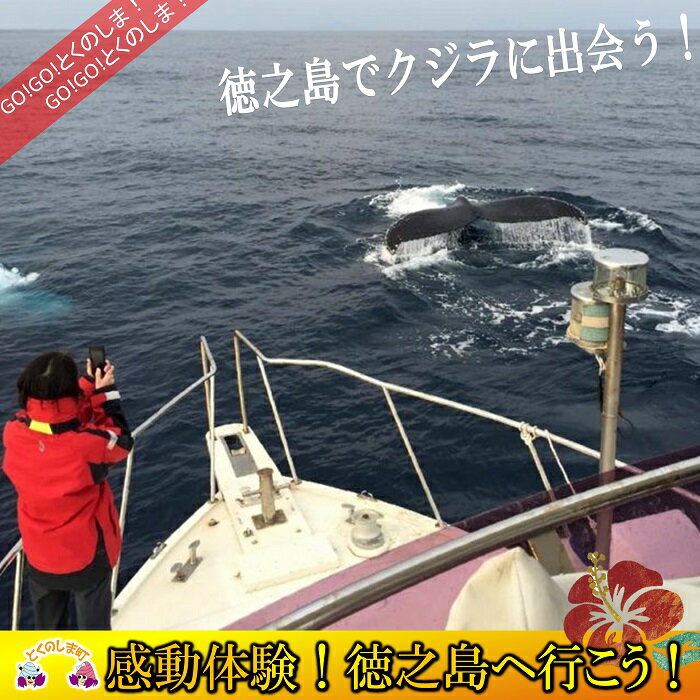 〜さぁ徳之島の海へ旅しよう〜感動の瞬間!クジラウォッチング体験(3時間)