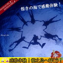 〜キラキラ輝く徳之島の海を満喫〜ボートで向かうサンゴ礁スノーケリングコース（半日）