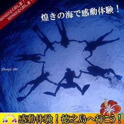 【ふるさと納税】〜キラキラ輝く徳之島の海を満喫〜ボートで向かうサンゴ礁スノーケリングコース（半日）