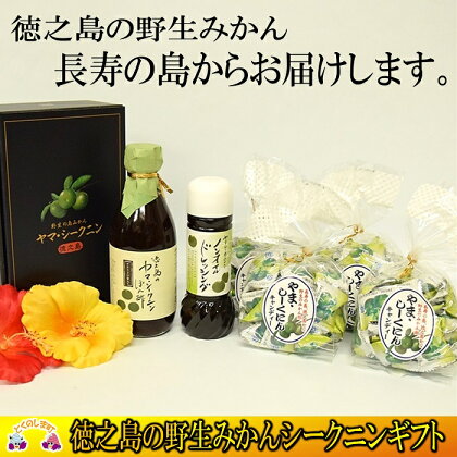 〜野生のみかんの味〜徳之島のヤマシークニンギフト