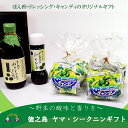 【ふるさと納税】〜野生の酸味と香りがクセになる!〜徳之島のヤマシークニンギフト