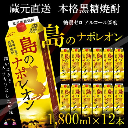 （蔵元直送便）本格黒糖焼酎 島のナポレオン1800mlパック×12本（数量限定）