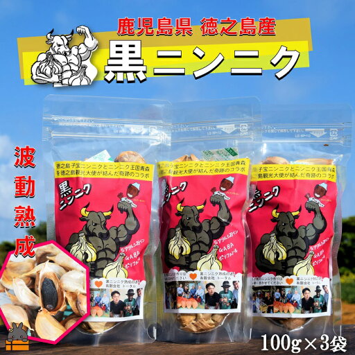 【ふるさと納税】こだわりの波動熟成! 鹿児島県徳之島産黒ニンニク(100g×3袋) ( にんにく ニンニク 熟成 GABA ポリフェノール Sアリルシスティン 健康食品 元気 長寿 徳之島 奄美 鹿児島 世界自然遺産 奄美海援隊 ) 【ふるさと納税】こだわりの波動熟成! 鹿児島県徳之島産黒ニンニク(100g×3袋) ( にんにく ニンニク 熟成 GABA ポリフェノール Sアリルシスティン 健康食品 元気 長寿 徳之島 奄美 鹿児島 世界自然遺産 奄美海援隊 )