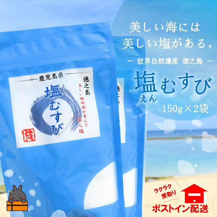 【ふるさと納税】〜珊瑚礁が育んだ恵み〜徳之島の自然そのままの塩（2袋）【ポストイン配送】