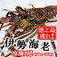 【ふるさと納税】新鮮なまますぐ冷凍!!徳之島産冷凍伊勢海老1尾（500g~700g）