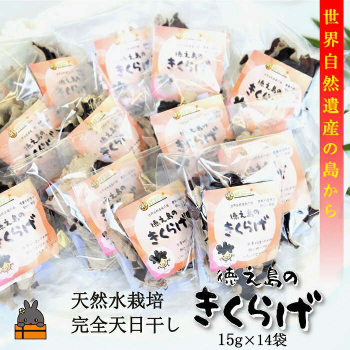 〜コリコリ食感がたまらない〜徳之島産乾燥きくらげ(15g×14袋)