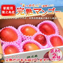【ふるさと納税】≪今が旬!≫訳あり!【家庭用】徳之島産完熟マンゴー2kg(4~8玉)( マンゴー フルーツ わけあり 訳あり 訳有 果物 完熟 無加温 徳之島 世界自然遺産 美味しい とろける 旬 贅沢 糖度 南の島 )