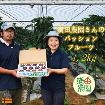 《先行予約》満田(みつだ)農園さんのパッションフルーツ（約1.2kg）( 果物 フルーツ 酸味 甘み プチプチ 徳之島 奄美 鹿児島 美味しい 旬 南の島 世界自然遺産 みつだ農園 )