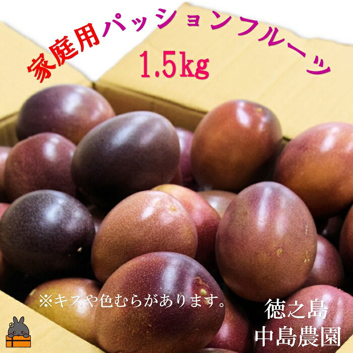 【ふるさと納税】《今が旬！》とくのしま中島農園さんの家庭用パッションフルーツ（約1.5kg） ( パッションフルーツ 果物 フルーツ 旬 わけあり 訳あり 訳有 訳アリ 奄美 徳之島 鹿児島 美味しい 中島農園)