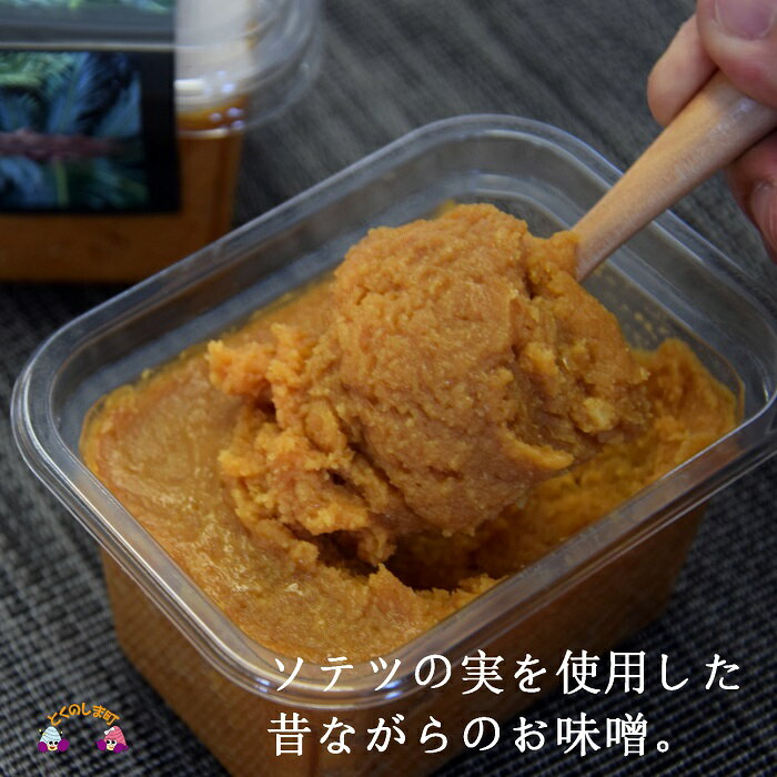 【ふるさと納税】〜徳之島産ソテツの実を使用〜昔ながらのなり味噌（無添加）