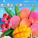 5位! 口コミ数「30件」評価「4.7」≪先行予約≫てぃだ（太陽）を浴びて育った徳之島産完熟マンゴー（1kg）( マンゴー フルーツ 果物 完熟 無加温 徳之島 世界自然遺産 美味･･･ 