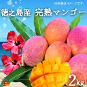 《先行予約》てぃだ（太陽）を浴びて育った徳之島産完熟マンゴー（2kg） ( マンゴー フルーツ 果物 完熟 無加温 徳之島 世界自然遺産 美味しい とろける 旬 贅沢 糖度 南の島 )