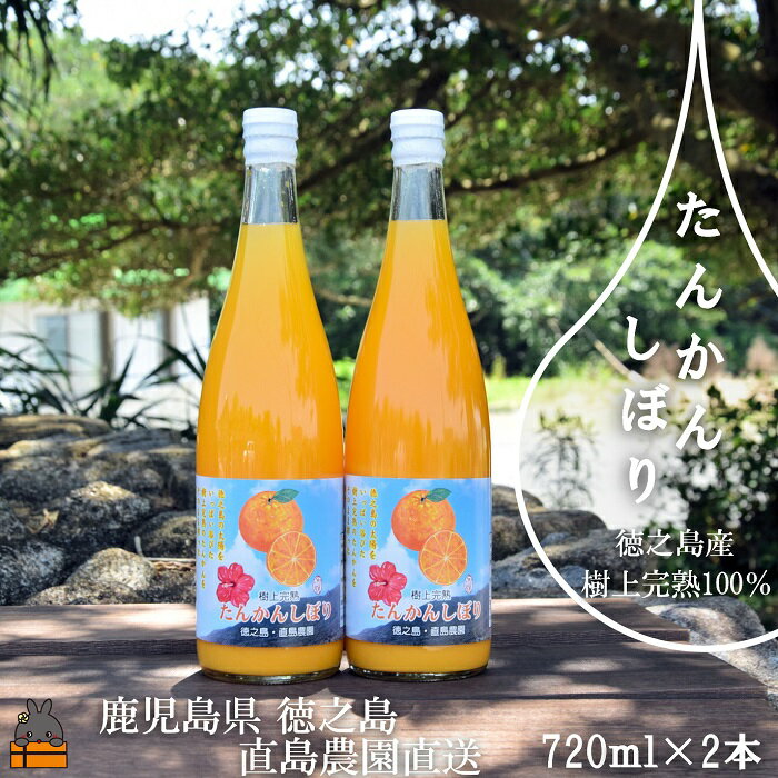 徳之島の直島農園が育てた樹上完熟たんかんしぼり(720ml×2本)( 果物 果汁 たんかん 柑橘 ジュース ドリンク 徳之島 奄美 鹿児島 美味しい )