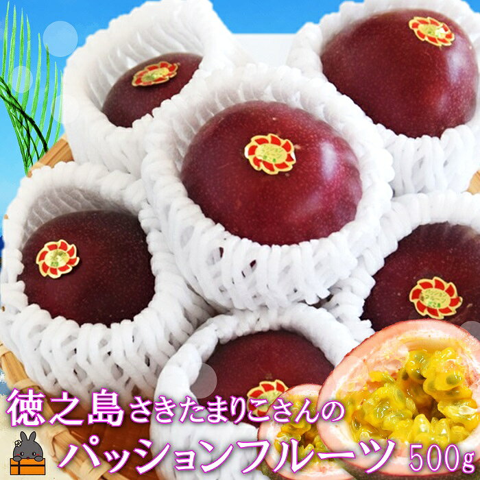 【ふるさと納税】《今が旬！》徳之島“さきたまりこさん”の完熟パッションフルーツ500g（6個入）のサムネイル