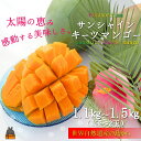 【ふるさと納税】《まもなく旬!》徳之島サンシャインキーツマンゴー(1玉~2玉) ( マンゴー キーツマンゴー 緑のマンゴー 糖度 完熟 徳之島 奄美 鹿児島 フルーツ 果物 甘い 美味しい 島 )