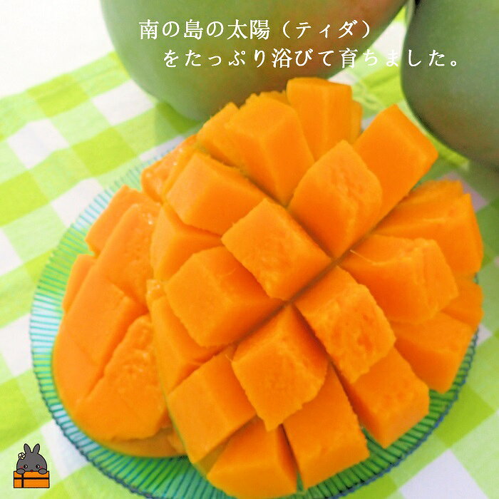 【ふるさと納税】《先行予約》徳之島サンシャインキーツマンゴー（1玉～2玉） ( マンゴー キーツマンゴー 緑のマンゴー 糖度 完熟 徳之島 奄美 鹿児島 フルーツ 果物 甘い 美味しい 島 ）