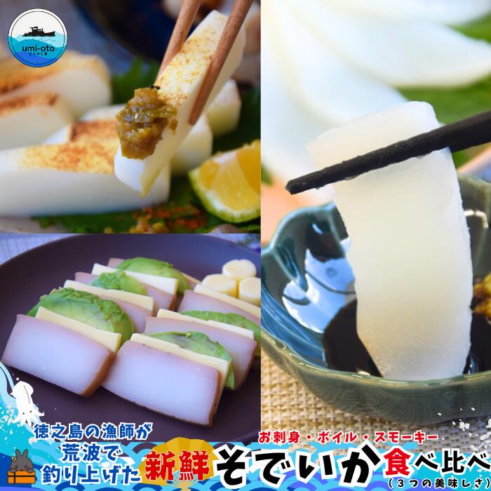 徳之島の漁師が荒波で釣り上げたそでいか 食べ比べ お刺身・ボイル・スモーキー ( 3つの美味しさ ソデイカ いか イカ 大型のいか 回遊 お刺身 甘い ねっとり 冷凍 新鮮 お寿司 料理 徳之島 奄美 沖縄 鹿児島 海鮮 umi-otoとくのしま )