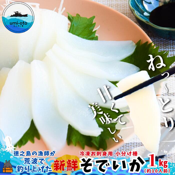 徳之島の漁師が荒波で釣り上げたそでいか 冷凍お刺身用小分け柵 1kg(約10人前) ( ソデイカ いか イカ 大型のいか 回遊 お刺身 甘い ねっとり 冷凍 新鮮 お寿司 料理 徳之島 奄美 沖縄 鹿児島 海鮮 umi-otoとくのしま )