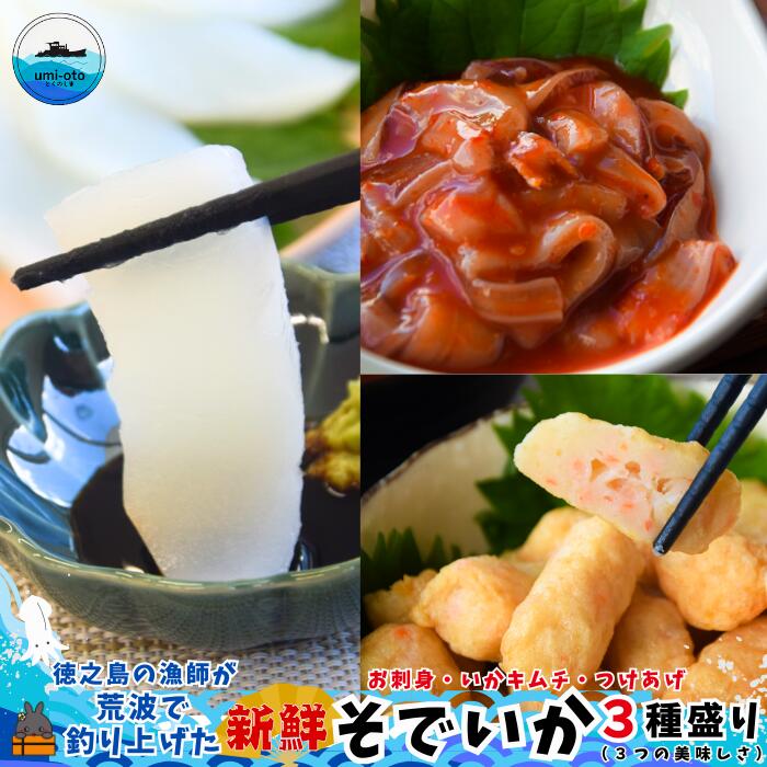 徳之島の漁師が荒波で釣り上げたそでいか 3種盛り お刺身・いかキムチ・つけあげ ( 3つの美味しさ ソデイカ いか イカ 大型のいか 回遊 お刺身 甘い ねっとり 冷凍 新鮮 お寿司 料理 徳之島 奄美 沖縄 鹿児島 海鮮 umi-otoとくのしま )