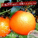 【ふるさと納税】(災害支援)少しキズは多いですが、味は美味し...
