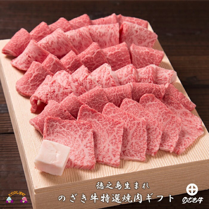 徳之島が世界に誇る“のざき牛"特選焼肉ギフト(毎月限定200)