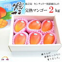 【ふるさと納税】《今が旬!》徳之島センチュリー果樹園さんの完熟マンゴー(2kg) ( マンゴー フルーツ 果物 完熟 無加温 徳之島 世界自然遺産 美味しい とろける 旬 贅沢 糖度 南の島 )