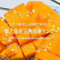【ふるさと納税】冷凍マンゴー1